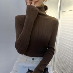 Ladies Ribbed Jumper with Polo Roll and Turtle Necks