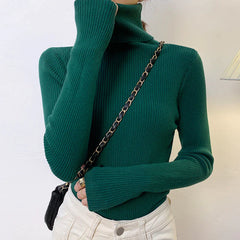 Ladies Ribbed Jumper with Polo Roll and Turtle Necks