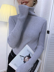 Ladies Ribbed Jumper with Polo Roll and Turtle Necks