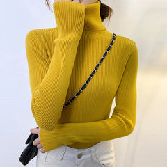 Ladies Ribbed Jumper with Polo Roll and Turtle Necks