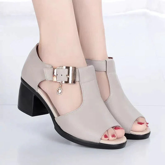 Sandals female Summer Rome Rough mid heel Women's Shoes middle age shoes