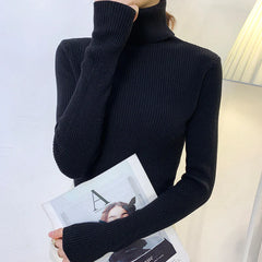 Ladies Ribbed Jumper with Polo Roll and Turtle Necks